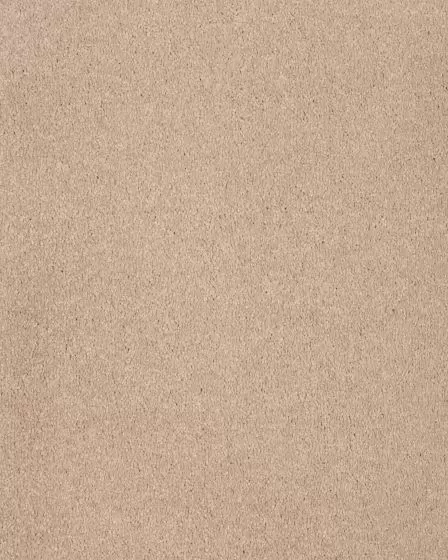 Opulent Tradition Library Carpet