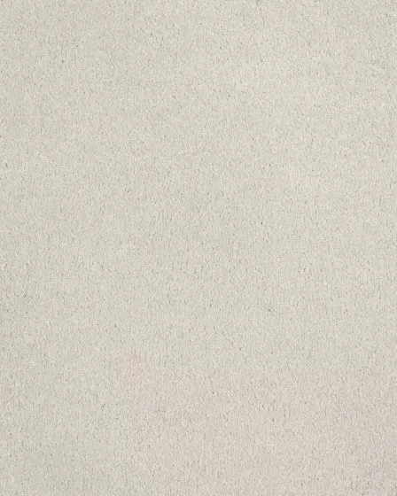 Opulent Tradition Lone Star Carpet