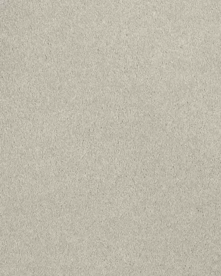 Opulent Tradition Manatee Carpet