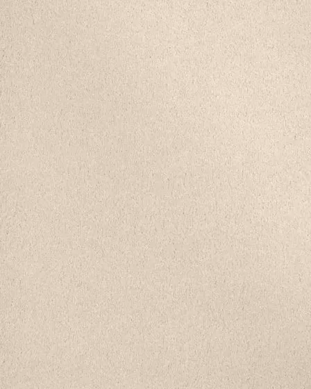 Opulent Tradition Optimism Carpet