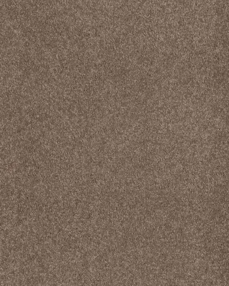 Opulent Tradition Retreat Carpet