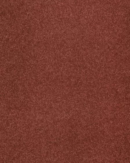 Opulent Tradition Rose Petal Carpet