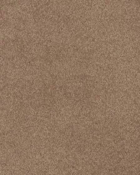 Opulent Tradition Southwest Carpet