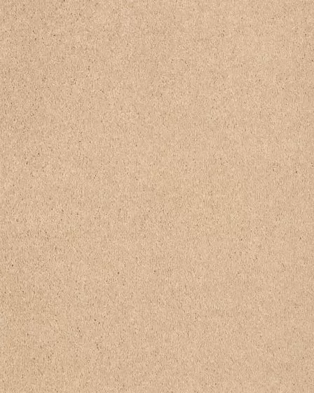 Opulent Tradition Timeless Carpet