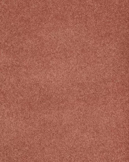 Opulent Tradition Valentine Carpet