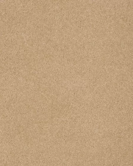 Opulent Tradition Warm Honey Carpet