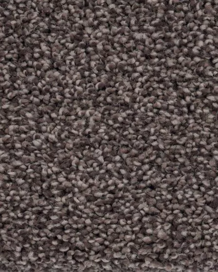 Oracle Textured Nylon Carpet