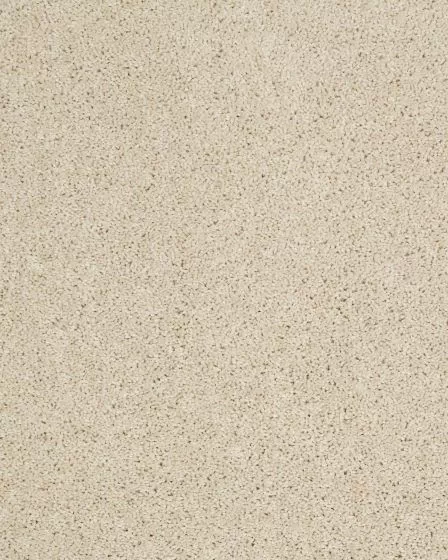 Hillcrest II Textured Nylon 29oz Carpet
