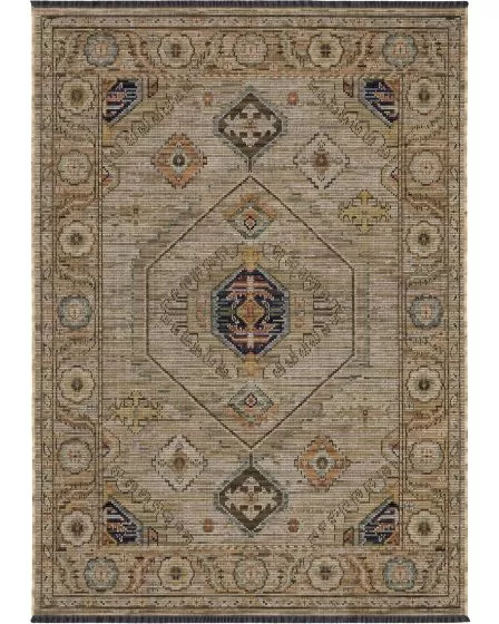 Legacy LGY11 Beige/Multi Area Rug