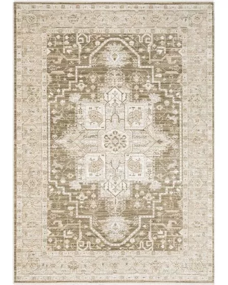 Lola LLA07 Brown 2'7"x7'7" Runner Rug