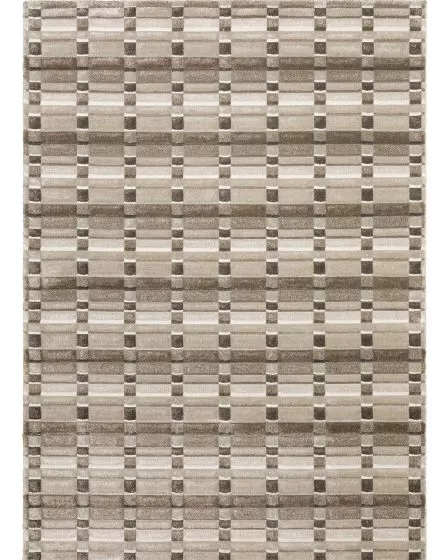 Wonder WON06 Brown/Beige Area Rug