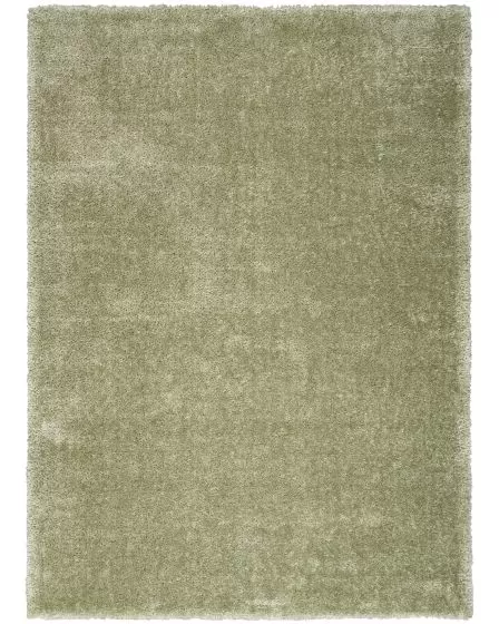 Pacific Shag PCS01 Green Area Rug