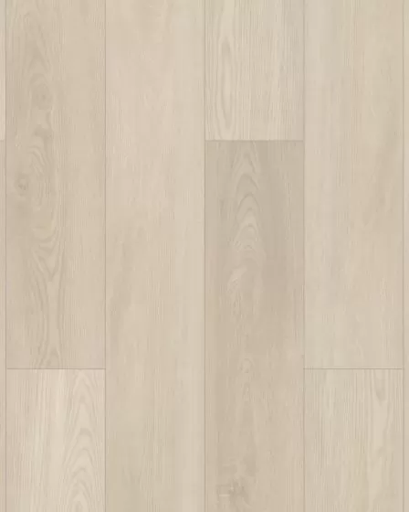 Paladin Plus Silver Dollar Luxury Vinyl