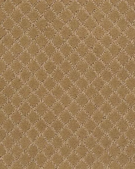 Pawnache Golden Straw Carpet