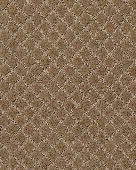 Pawnache Peanut Shell Carpet