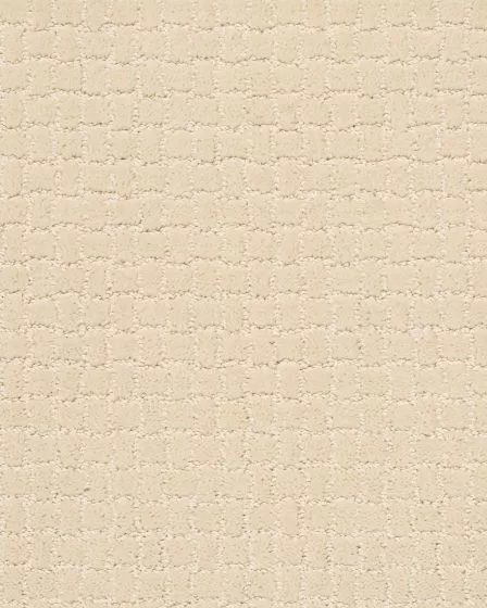 Pawstruck Patterned Nylon Carpet