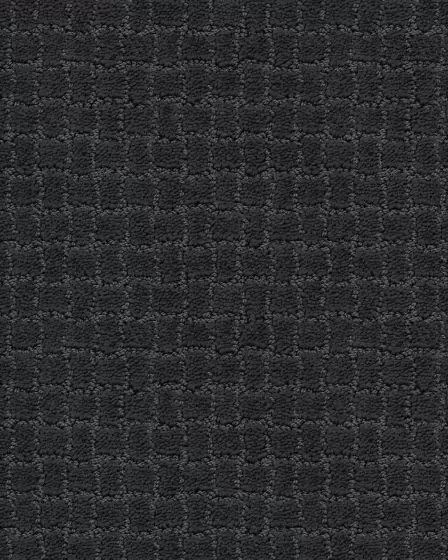 Pawstruck Night Shade Carpet