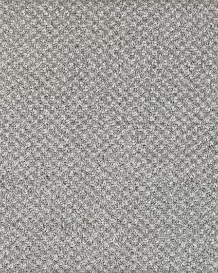 Pleasant Shades Kashmere Nylon Carpet
