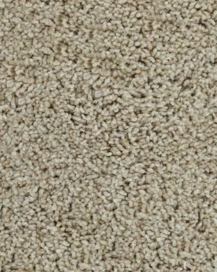 Posh Beauty Bashful Carpet
