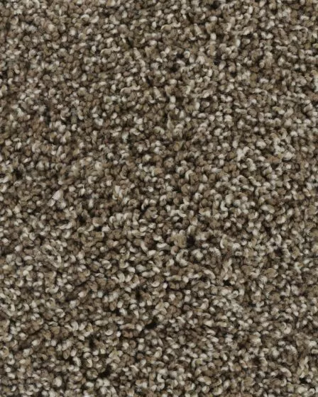 Posh Beauty Lush Suese Carpet