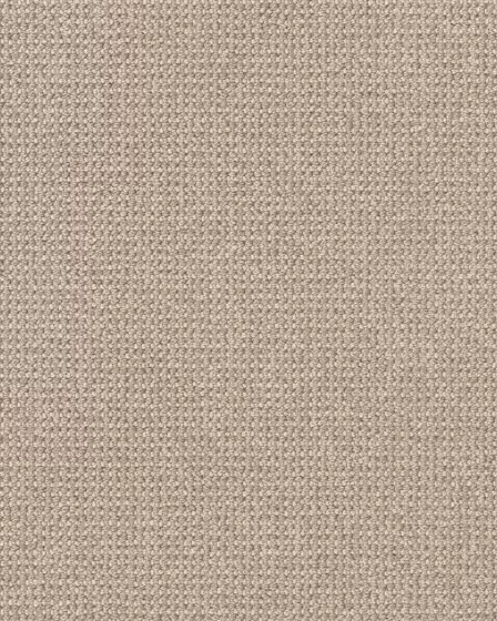 Purrfection Pet Friendly Nylon Carpet