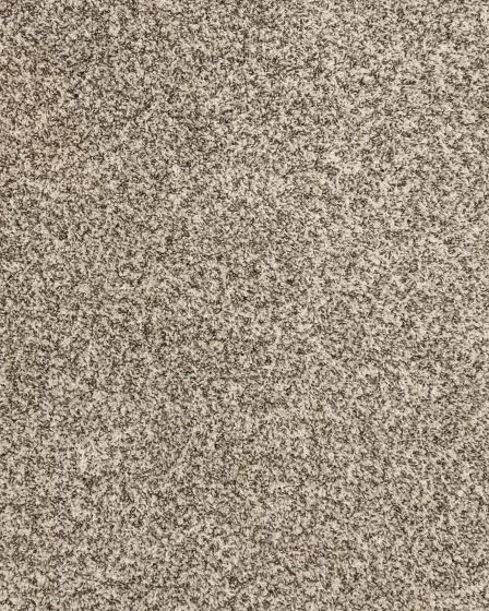 Purrsonality II Cascade Carpet