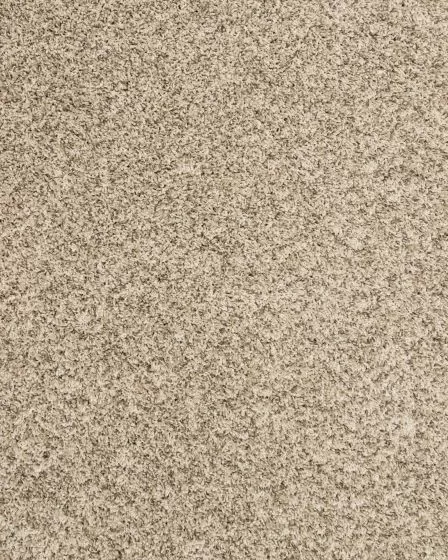 Purrsonality III Pet Friendly 75oz Carpet