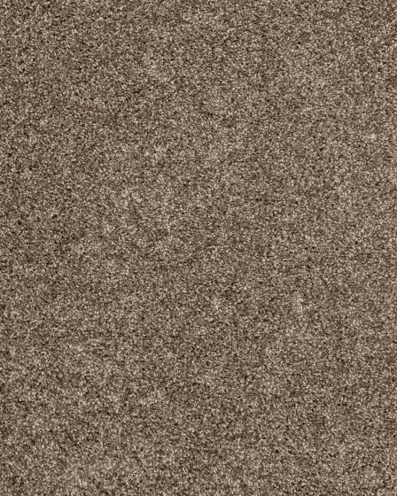 Purrsonality I Legend Carpet