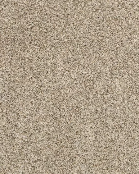 Purrsonality II Pet Friendly 60oz Carpet