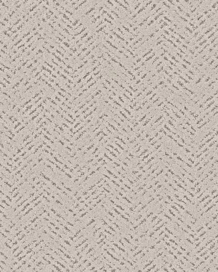 Quiet Trail Pet Friendly 43oz Carpet