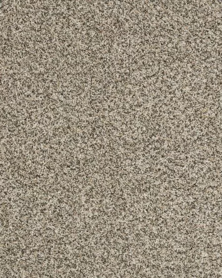Raise The Woof I Pet Friendly 40oz Carpet