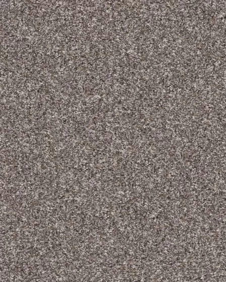 Refined Chic Alaskan Air Textured Carpet