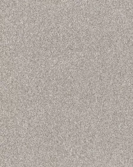 Refined Chic Frozen Textured Carpet