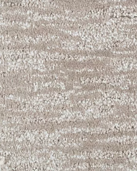 Rich Desire Urban Taupe Carpet