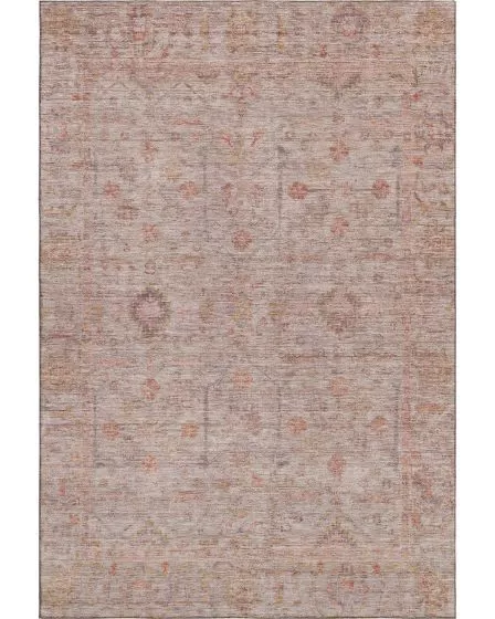 Ravenna RN5 Coral 10'x14' Area Rug