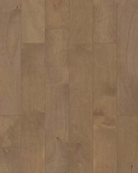 St. Petersburg Crescent Beach 5" Birch Hardwood