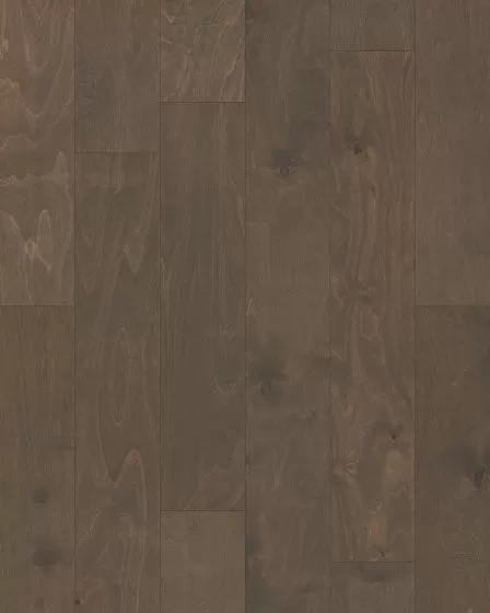 St. Petersburg Windsurf 5" Birch Hardwood