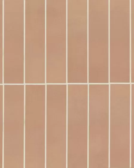 Sahara Cotto Matte Glazed Porcelain 3"x12" Pressed Field Tile