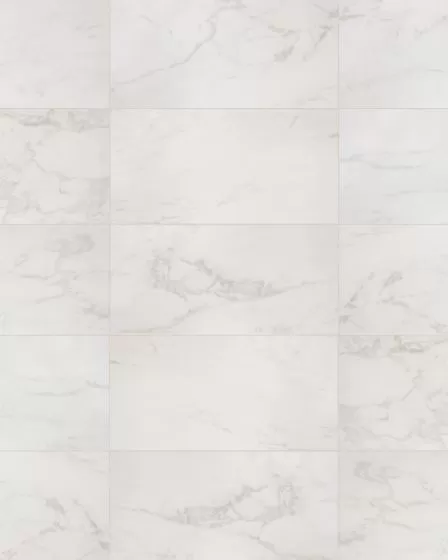 S.A.L.T. Calacatta 12x24 Honed Porcelain Tile
