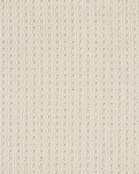 San Lucas Patterned Nylon Carpet