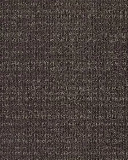 Sensible Now Iron Gate Carpet