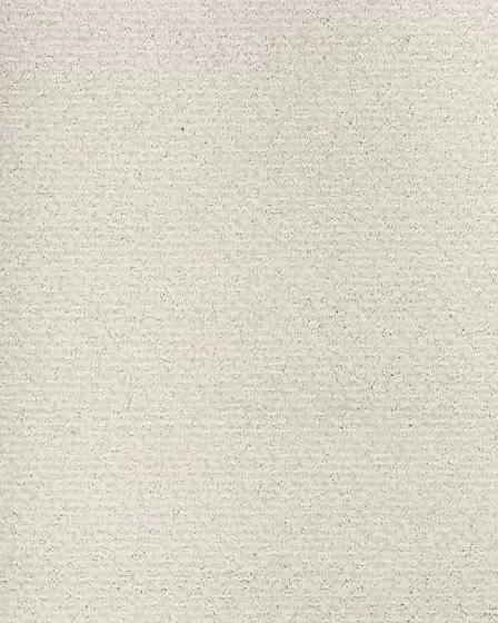 Peaceful Balance Nylon Carpet