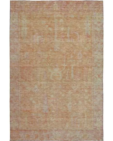Solace SL11 Coral 10'x14' Area Rug