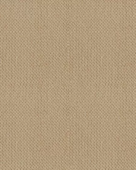 Smart Thinking Textured Loop Nylon Carpet