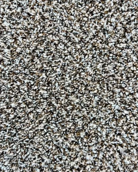 Soft Impact B Textured 24oz Carpet