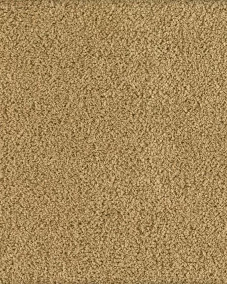 Soft Excellence Textured SmartStrand Carpet