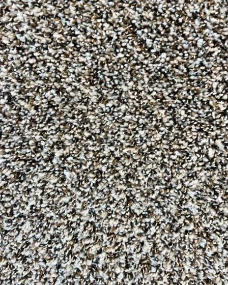 Soft Impact B Studio Textured Berber Carpet