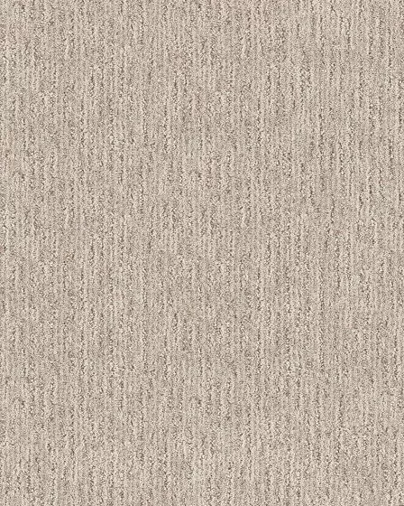Stylish Ease Patterned EverStrand Carpet