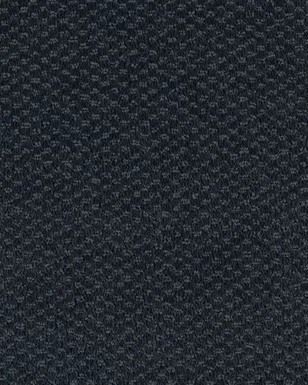 Subtle Allure Patterned SmartStrand Carpet