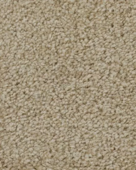 Superior Selection Downy Lustre Carpet